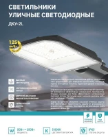 Светильник уличный линзованный светодиодный ДКУ-2L 200Вт 230В 5000К 25000лм 125лм/Вт 48-70мм IP65 NEOX 4690612057699