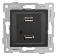 Розетка USB 2-м СП Ugra механизм графит GUSI С11USB2-010