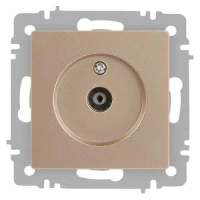 Розетка телевизионная одиночная TV СП Accent 6-301-04 IP20 шампань Intro Б0063609
