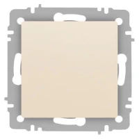 Кнопка Accent 6-109-02 10А-250В IP20 СУ сл. кость Intro Б0063606