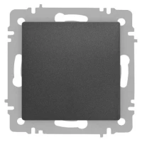 Кнопка Accent 6-109-07 10А-250В IP20 СУ графит Intro Б0063617