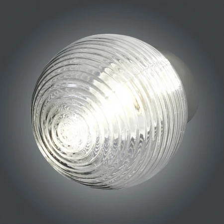 1005100147
