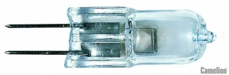 1955