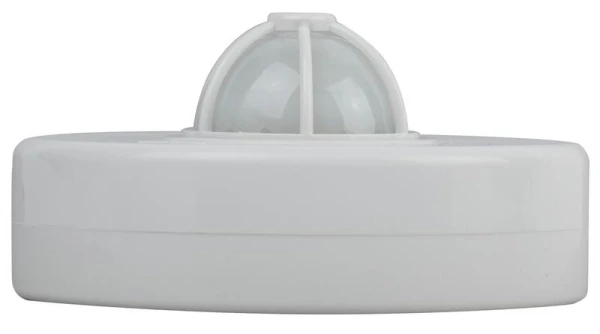 Б0043793