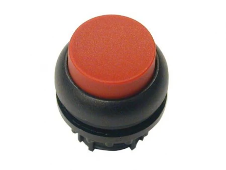 216668