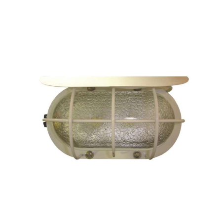 Светильник НПП 24-100 без решетки Ашасвет 024100000